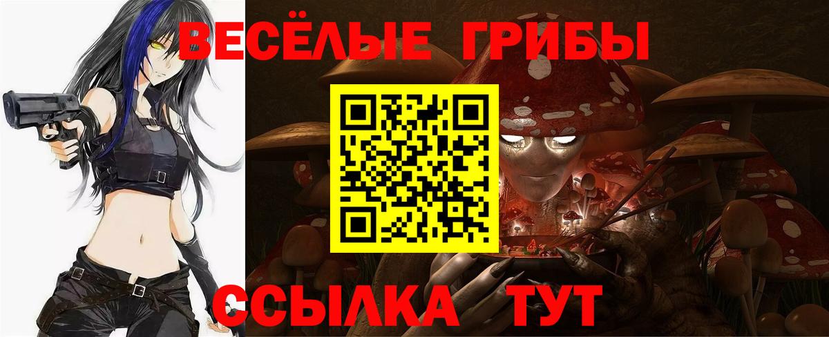 Ульяновск  наркота  Вход с VPN  Галлюциногенные грибы GOLDEN TEACHER 